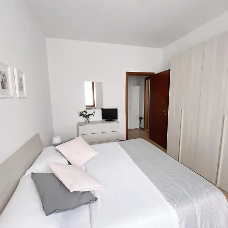 Rose E Tulipani Negrar