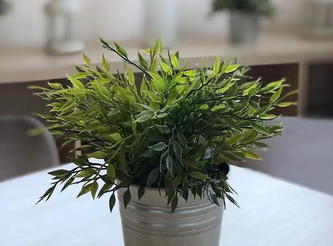 Apartman Rose E Tulipani