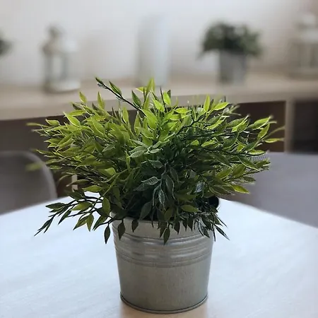Apartamento Rose E Tulipani