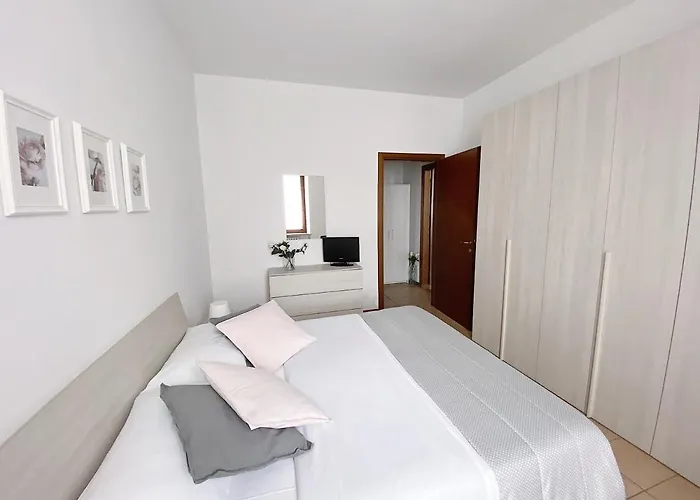 Rose E Tulipani Negrar